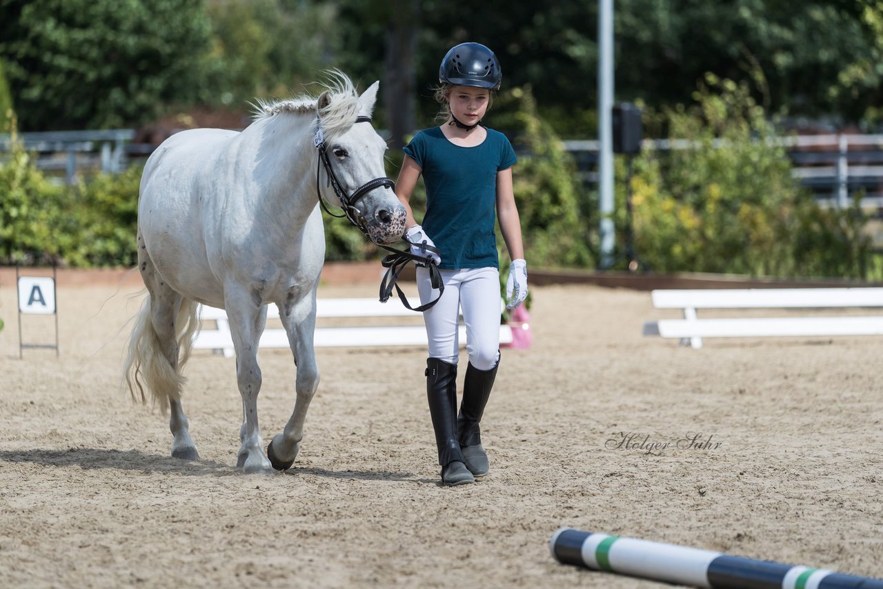 Bild 70 - Pony Akademie Turnier